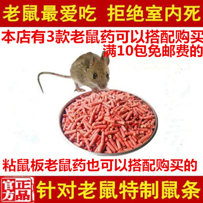 強力滅鼠全攻略 從特效顆粒到高效粘板的科學選擇與安全使用