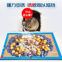 2025年度十款熱門粘鼠板產品榜 居家防鼠，值得入手的強力推薦